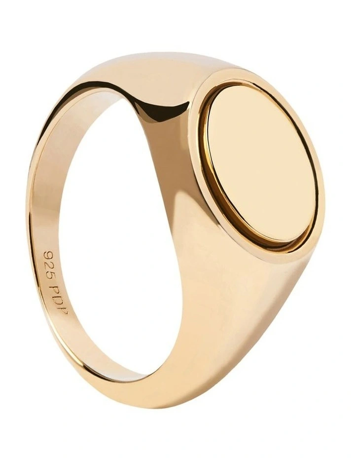 Flash Sale π€© PDPAOLA Stamp Ring In Gold β¨ 1 Flash Sale π€© PDPAOLA Stamp Ring In Gold β¨