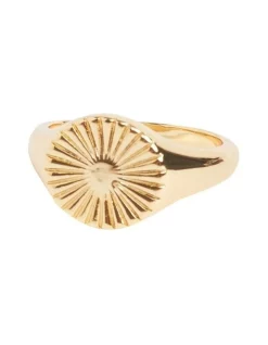 Best deal 🌟 Seed Heritage Signet Ring In Gold 😀